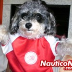 Bia de Verônica de Porto Alegre